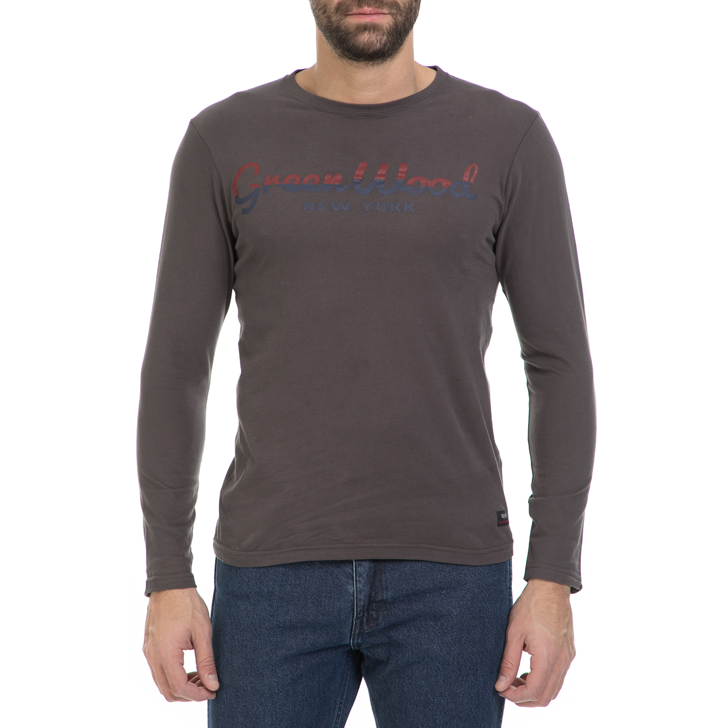 GREENWOOD - Ανδρική μπλούζα GREENWOOD γκρι Ανδρικά/Ρούχα/Μπλούζες/Μακρυμάνικες