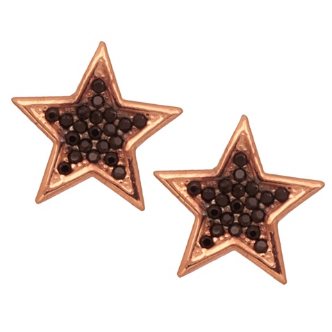 JEWELTUDE-Γυναικεία καρφωτά σκουλαρίκια αστέρια JEWELTUDE 9452 ρόζ επιχρυσωμένα