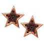 JEWELTUDE-Γυναικεία καρφωτά σκουλαρίκια αστέρια JEWELTUDE 9452 ρόζ επιχρυσωμένα