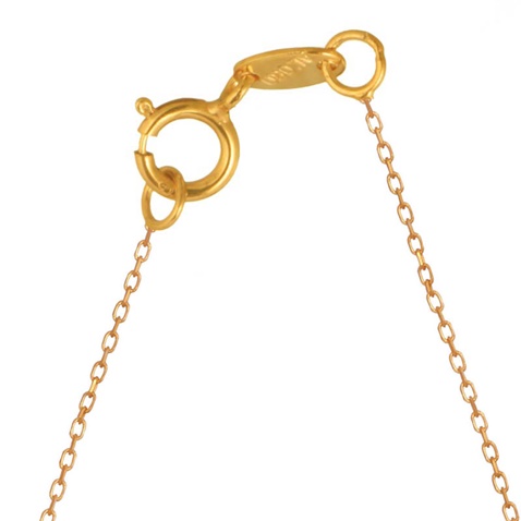 JEWELTUDE-Γυναικείο ασημένιο κολιέ JEWELTUDE 12685 οικογένεια κίτρινο επιχρυσωμένο