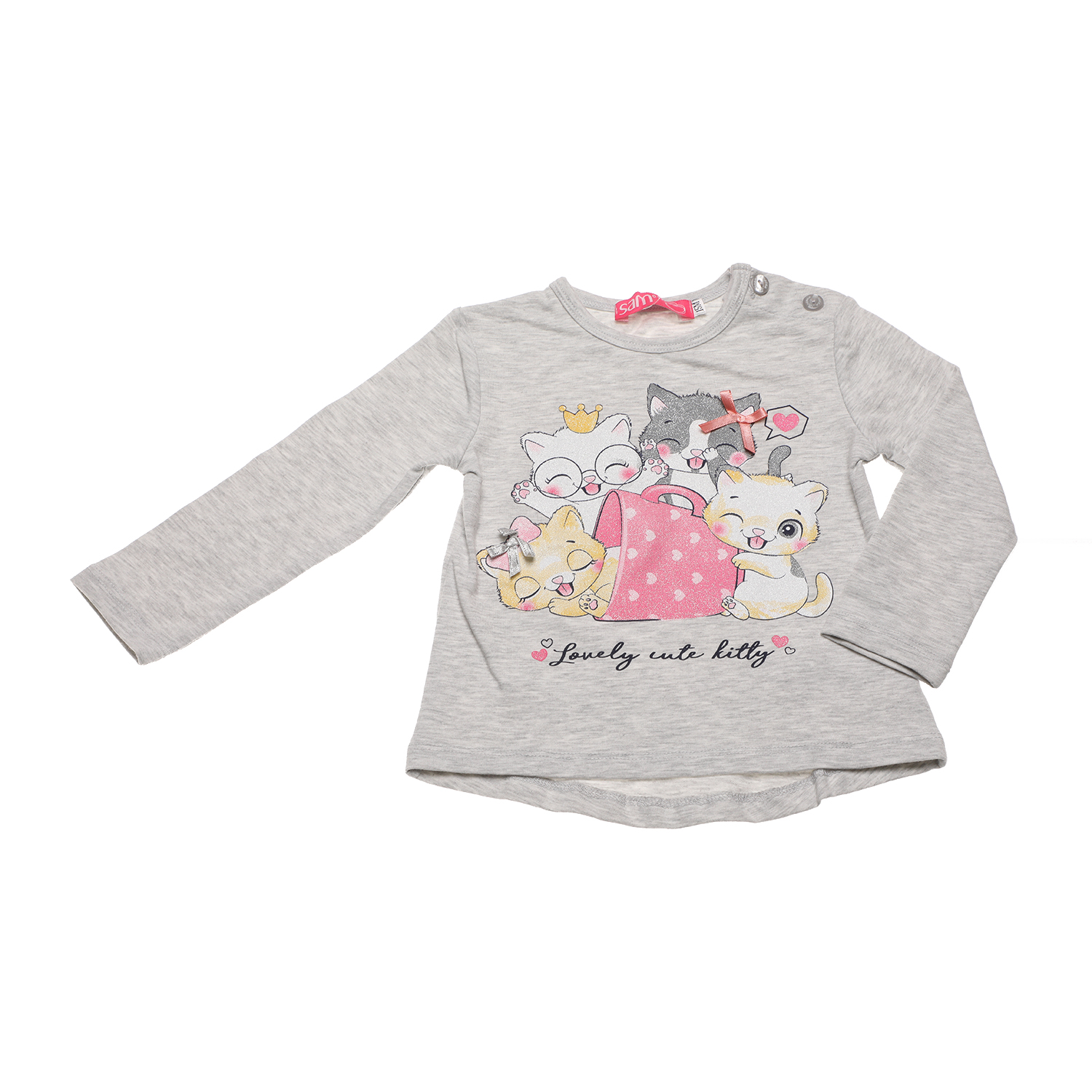 Παιδικά/Baby/Ρούχα/Μπλούζες SAM 0-13 - Βρφική φούτερ μπλούζα SAM 0-13 γκρι