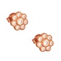 JEWELTUDE-Γυναικεία ασημένια σκουλαρίκια καρφάκια JEWELTUDE 13563 Μαργαρίτες