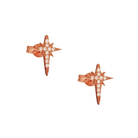 JEWELTUDE-Γυναικεία καρφωτά σκουλαρίκια JEWELTUDE 14485 ασημένια ρόζ επιχρυσωμένα 