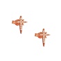 JEWELTUDE-Γυναικεία καρφωτά σκουλαρίκια JEWELTUDE 14485 ασημένια ρόζ επιχρυσωμένα 