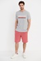 FUNKY BUDDHA-Ανδρικό t-shirt FUNKY BUDDHA γκρι